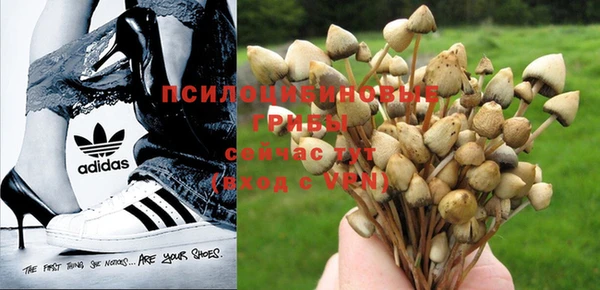 кокаин перу Краснослободск