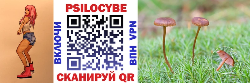 Купить где  Ильский  Галлюциногенные грибы мухоморы 