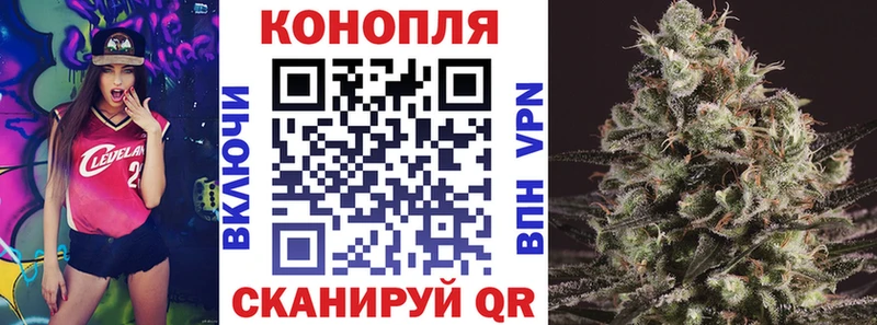 Купить закладки  Ильский  Шишки марихуана планчик 
